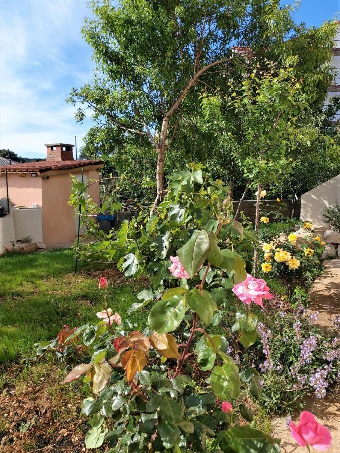 Boutique Apartment Mali Lošinj Zewnętrze zdjęcie